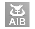 Janine Bunnetta has provided leadership and business coaching for AIB